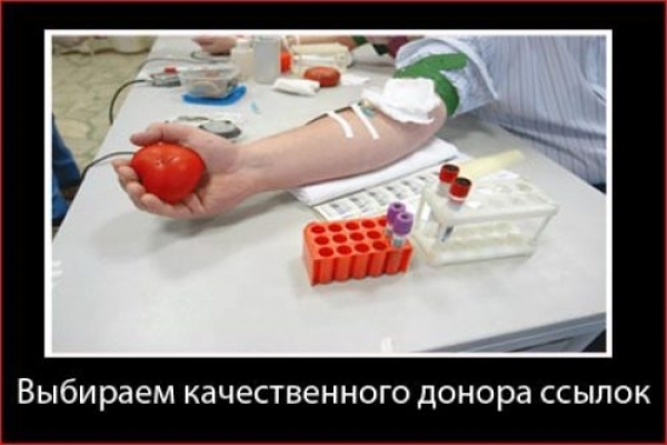 Оценочная стоимость донора ссылок